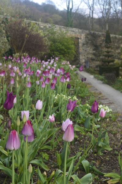 Plas Cadnant Hidden Gardens